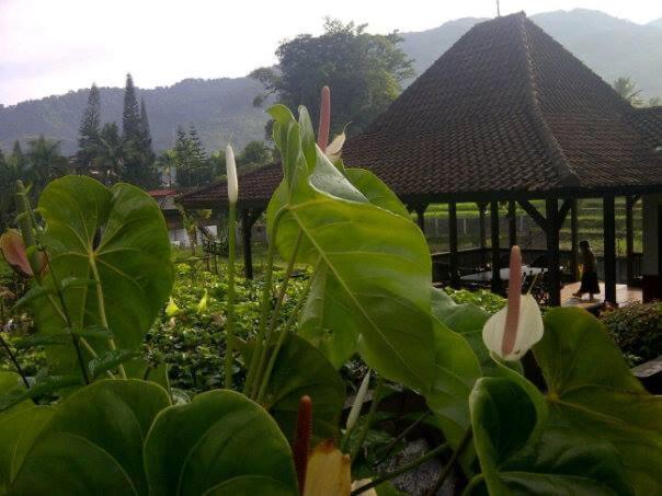 Grha Kasih Hotel Bogor Exterior photo